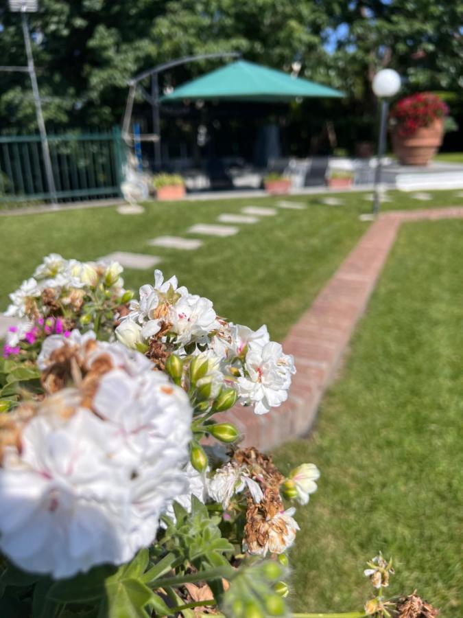 Villa Albina Roma Eksteriør bilde