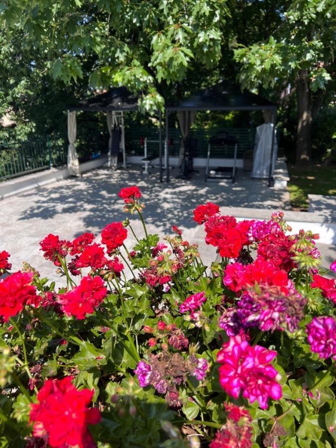 Villa Albina Roma Eksteriør bilde