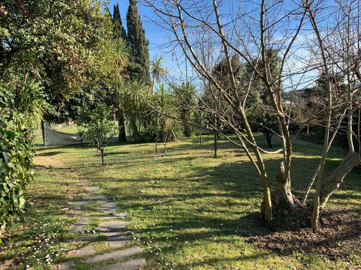 Villa Albina Roma Eksteriør bilde